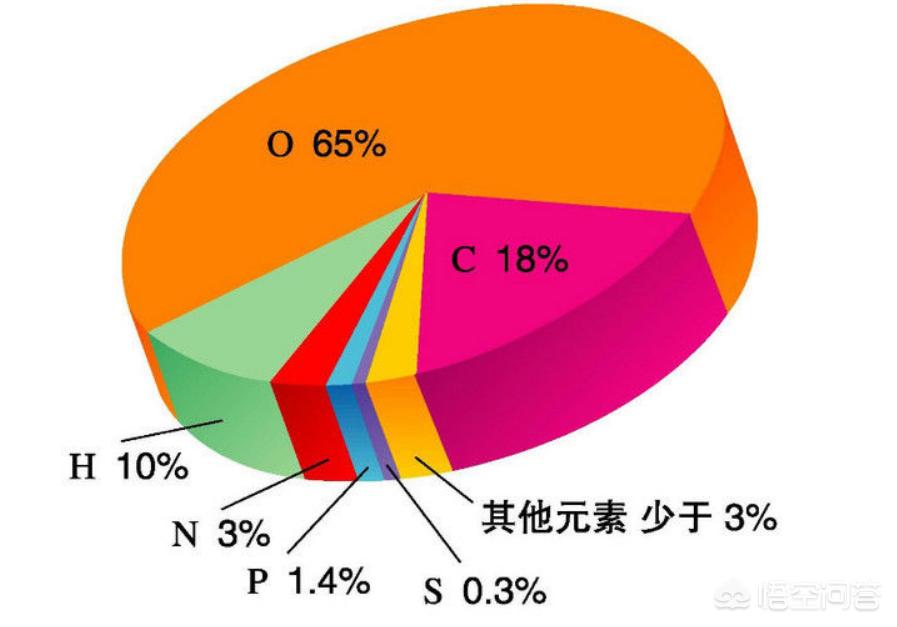 天堂1抛弃之地怎么去-天堂1抛弃之地怎么去的